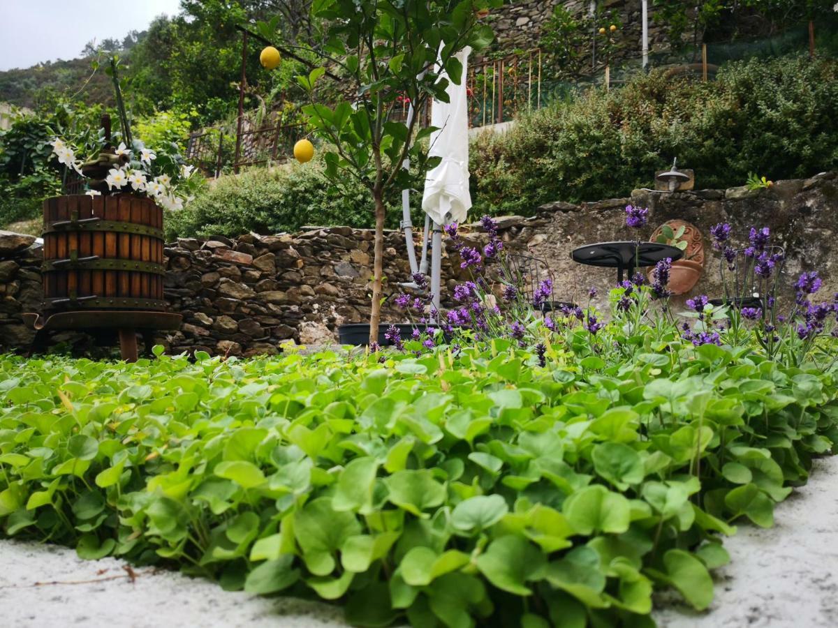 Il Giardino Di Riomaggiore Apartment Exterior photo